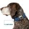 Show in main carousel: Buckle-Down Nickelodeon Avatar Last Airbender Water Element Symbol Dog Collar, Small: 9.5 to 13-in neck, 1-in wide slide 7 of 8