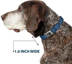 Buckle-Down Nickelodeon Avatar Last Airbender Water Element Symbol Dog Collar, Medium: 16 to 23-in neck, 1.5-in wide slide 2 of 8