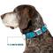 Show in main carousel: Buckle-Down Nickelodeon Blues Clues Blue Poses Dog Collar, Large: 15 to 24-in neck, 1-in wide slide 8 of 9
