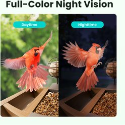 Birdfy Cedar D Smart Bird Feeder with Camera Lifetime Free AI & Solar Panel, Wooden, 2.4-L slide 2 of 9