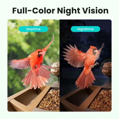 Show full view: Birdfy Cedar D Smart Bird Feeder with Camera Lifetime Free AI & Solar Panel, Wooden, 2.4-L slide 6 of 10