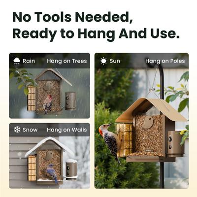Show full view: Birdfy Metal V Camera Bird Feeder Squirrel-Proof Suet Holder Slow Motion with AI Subscription, Brown, 1.5-L slide 9 of 10