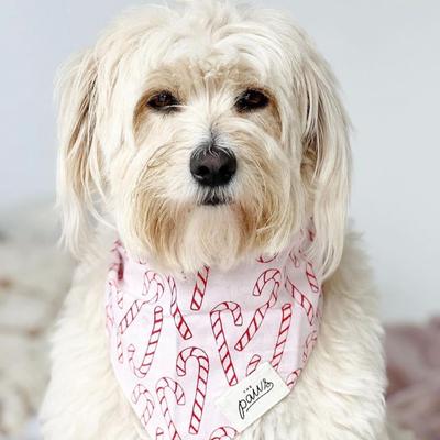 Show full view: The Paws Elfie Cotton Dog Bandana, Pink, Small slide 2 of 4