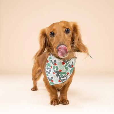 Show full view: The Paws Yule Cotton Dog Bandana, Green, Large slide 4 of 6
