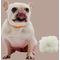 Show in main carousel: EYS Furbul Sustainable Handmade Long Wool Sheepskin Snuggle Ball Plush Dog Toy, Ivory slide 5 of 8