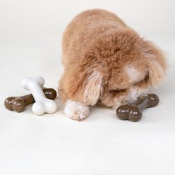 Chew King by Mammoth Flavored Nylon Bones Tough Dog Chew Toy, Small, 3 count slide 2 of 6