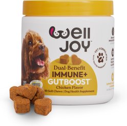 WellJoy Chicken Flavored Soft Chew Immune + GutBoost Supplement for Dogs, 11.1-oz jar, 90 count