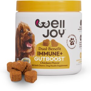 WellJoy Immune + GutBoost Chicken Flavored Soft Chew Supplement for Dogs, 11.1-oz jar, 90 count