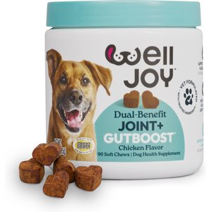 WellJoy Joint + GutBoost Chicken Flavored Soft Chew Supplement for Dogs, 11.1-oz jar, 90 count