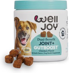 WellJoy Joint + GutBoost Chicken Flavored Soft Chew Supplement for Dogs, 11.1-oz jar, 90 count