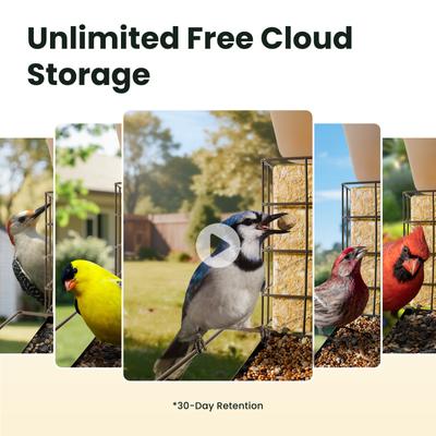 Show full view: Birdfy Metal V Camera Bird Feeder Squirrel-Proof Suet Holder Slow Motion with AI Subscription, Brown, 1.5-L slide 5 of 10