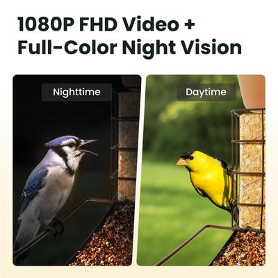 Show full view: Birdfy Metal V Camera Bird Feeder Squirrel-Proof Suet Holder Slow Motion with AI Subscription, Brown, 1.5-L slide 4 of 10