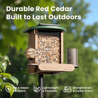 Show full view: Birdfy Cedar D Smart Bird Feeder with Camera Lifetime Free AI & Solar Panel, Wooden, 2.4-L slide 7 of 10