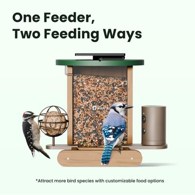 Show full view: Birdfy Cedar D Smart Bird Feeder with Camera Lifetime Free AI & Solar Panel, Wooden, 2.4-L slide 8 of 10