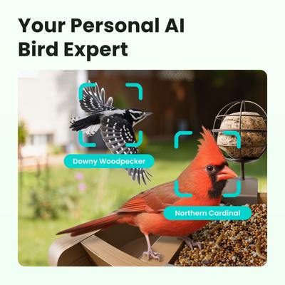 Show full view: Birdfy Cedar D Smart Bird Feeder with Camera Lifetime Free AI & Solar Panel, Wooden, 2.4-L slide 2 of 10