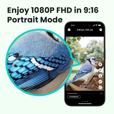 Show full view: Birdfy Cedar D Smart Bird Feeder with Camera Lifetime Free AI & Solar Panel, Wooden, 2.4-L slide 3 of 10