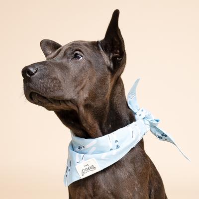 Show full view: The Paws Ski Cotton Dog Bandana, Blue, Medium slide 4 of 6