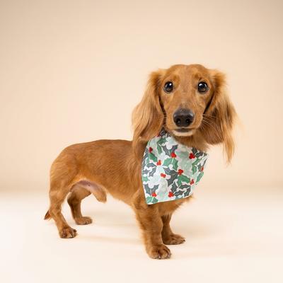 Show full view: The Paws Yule Cotton Dog Bandana, Green, Large slide 3 of 6