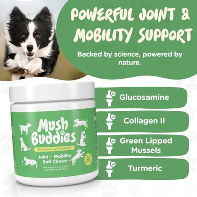 Show full view: Mush Buddies Hip & Joint Soft Chew Supplement for Dogs, 60 count slide 3 of 10