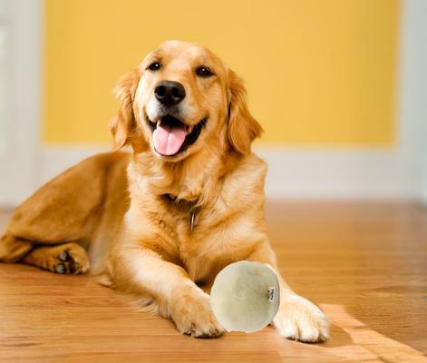 Show full view: EYS Furbul Sustainable Handmade Short Wool Sheepskin Snuggle Ball Plush Dog Toy, Ivory slide 4 of 6