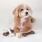 Show in main carousel: Chew King by Mammoth Flavored Nylon Bones Tough Dog Chew Toy, Small, 3 count slide 5 of 8