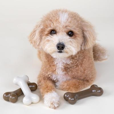 Show full view: Chew King by Mammoth Flavored Nylon Bones Tough Dog Chew Toy, Small, 3 count slide 4 of 8