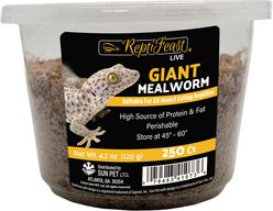 ReptiFeast Giant Mealworm Reptile Food, 250 count