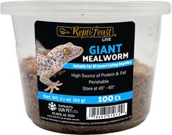 ReptiFeast Giant Mealworm Reptile Food, 100 count