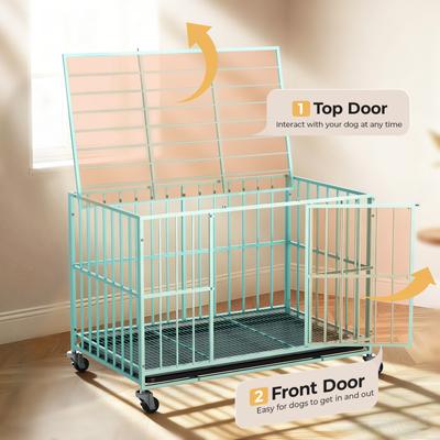 Show full view: Xbrigh Indoor Heavy Duty Steel Escape Proof Double Door Dog Crate with Removable Tray & Wheels, Green, 48 inch slide 3 of 9
