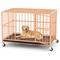 Show in main carousel: Xbrigh Indoor Heavy Duty Steel Escape Proof Double Door Dog Crate with Removable Tray & Wheels, Orange, 48 inch slide 1 of 9