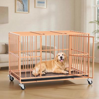 Show full view: Xbrigh Indoor Heavy Duty Steel Escape Proof Double Door Dog Crate with Removable Tray & Wheels, Orange, 48 inch slide 2 of 9