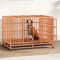 Show in main carousel: Xbrigh Heavy Duty Indestructible Escape Proof Steel Double Door Dog Crate with Wheels & Removable Tray, Large: 48 inch, Orange slide 1 of 6