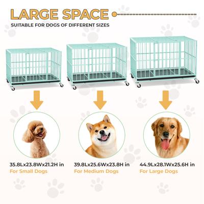 Show full view: Xbrigh Indoor Heavy Duty Steel Escape Proof Double Door Dog Crate with Removable Tray & Wheels, Green, 48 inch slide 7 of 9