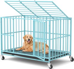 Xbrigh Indoor Heavy Duty Steel Escape Proof Double Door Dog Crate with Removable Tray & Wheels, Blue, 48 inch