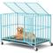 Show in main carousel: Xbrigh Indoor Heavy Duty Steel Escape Proof Double Door Dog Crate with Removable Tray & Wheels, Blue, 48 inch slide 1 of 9