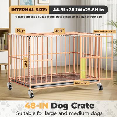 Show full view: Xbrigh Indoor Heavy Duty Steel Escape Proof Double Door Dog Crate with Removable Tray & Wheels, Orange, 48 inch slide 4 of 9