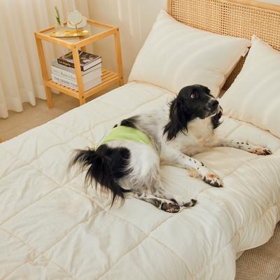 Show full view: WickedPup Male Belly Band Kit Dog Diaper, Size 3: 21.5 to 26-in waist, 50 count slide 3 of 12