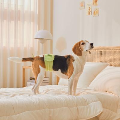 Show full view: WickedPup Male Belly Band Kit Dog Diaper, Size 2: 17.5 to 21.5-in waist, 50 count slide 5 of 13