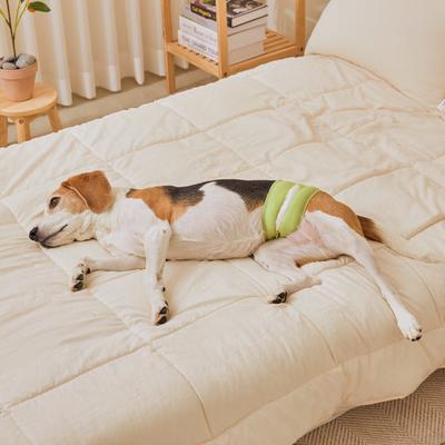 Show full view: WickedPup Male Belly Band Kit Dog Diaper, Size 2: 17.5 to 21.5-in waist, 50 count slide 4 of 13