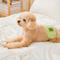 Show in main carousel: WickedPup Male Belly Band Kit Dog Diaper, Size 1: 14 to 17.5-in waist, 50 count slide 3 of 12