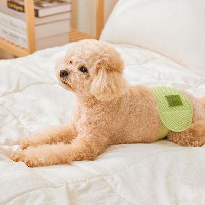 Show full view: WickedPup Male Belly Band Kit Dog Diaper, Size 1: 14 to 17.5-in waist, 50 count slide 3 of 12