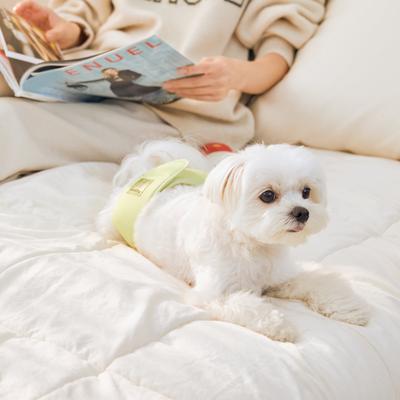 Show full view: WickedPup Male Belly Band Kit Dog Diaper, Size 0: 10.5 to 14-in waist, 50 count slide 4 of 12