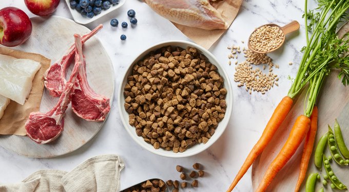 Wellness Soft Puppy Bites Lamb & Salmon – Natural Grain-Free Training Treats, 8 Oz