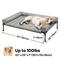 Show in main carousel: Veehoo Elevated Dog Bed with Bolster Mat, Sky Grey, Large slide 3 of 10
