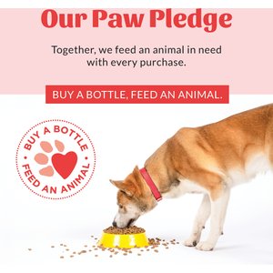 Skout's Honor Natural Sunkissed Coconut Scent Probiotic Dog & Cat Deodorizer Spray, 8-fl oz bottle