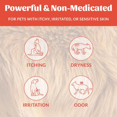 Show full view: Skout's Honor Probiotic Itch Relief Dog & Cat Shampoo, 16-fl oz bottle slide 4 of 11