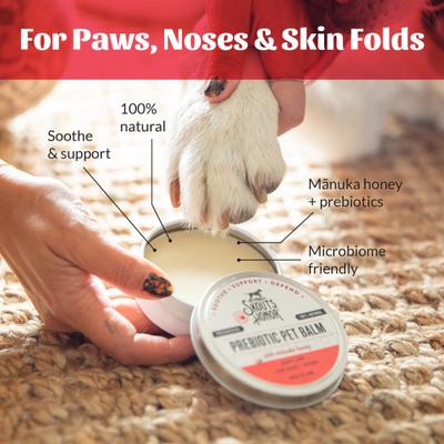 Show full view: Skout's Honor Prebiotic Dog & Cat Balm, 2-fl oz jar slide 5 of 11