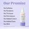 Show in main carousel: Skout's Honor Probiotic Dog & Cat Paw Spray, 8-fl oz bottle slide 7 of 11