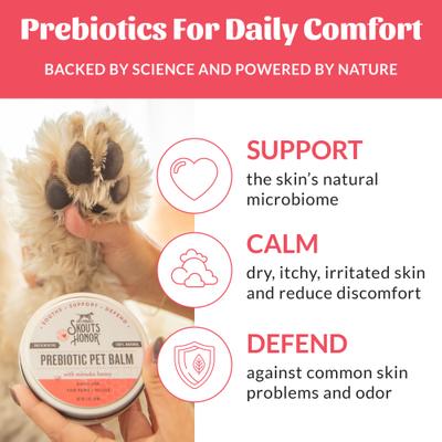 Show full view: Skout's Honor Prebiotic Dog & Cat Balm, 2-fl oz jar slide 4 of 11