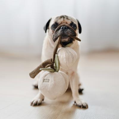 Show full view: Lambwolf Momo Plush Dog Toy slide 3 of 4